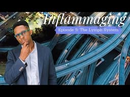 Inflammaging - Episode 5: The Lymph System