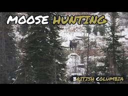 November Moose Hunt British Columbia 2024 Trailer (Spike Fork)