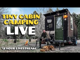 Camping in a TINY CABIN in the Woods (LIVE)