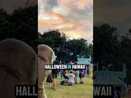 Halloween in Hawaii is DIFFERENT! 🌴🎃🌴