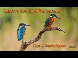 How to Improve your Bird Photography