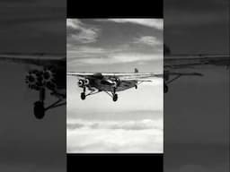 When a cow went flying - The Ford Tri Motor and the first cow to fly  #history #aviation #cow