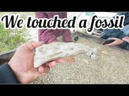 Fossil park in Langebaan || Last day on the West Coast || Best melktert ever || SA YouTuber