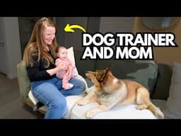 How to Introduce a Dog and Baby: Tips From a Dog Trainer AND Mom