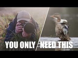 One Wildlife Photography Tip That will Give You Stunning results