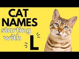 100+ Cat Names Starting With "L" | Boy and Girl Cat Names | Cat Names