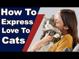 Best Ways To Tell A Cat You Love Them – How To Express Love To Cats