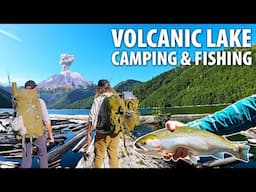 Fishing, Foraging & Camping under an ACTIVE VOLCANO w/ @AddictedFishing (Survival Challenge)