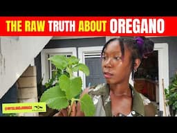 😲If you use OREGANO, you NEED to hear this!  🇯🇲