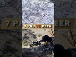 7 PRC VS DEER