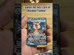 I Pulled the best card in Obsidian Flames! #pokemon #pokemoncards #shorts