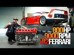 Ferrari Enzo V12 on Steroids! The ULTIMATE Engine for my F40!