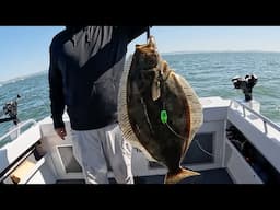 Unbelievable Halibut Fishing Trip | Boats Swarm at the Hottest Fishing Spot