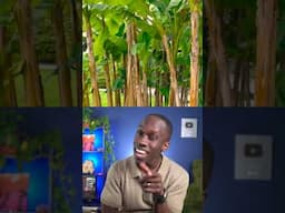 Do bananas really grow on trees? Truth or Trash Episode 67 #biology