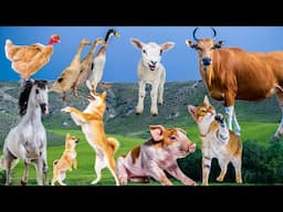 Funny Animal Moments: Cow, Dog, Cat, Chicken, Duck, Pig, Horse - Animal Sounds