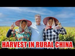 Helping with the Harvest in Rural China