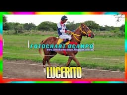 LUCERITO   Capitan Solari   Chaco 17 11 2024