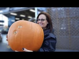 BIGGEST PUMPKIN EVER!!