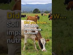 Healthy Soil impacts Your Health #regenerativefarming #organicfarming #regenerativeagriculture