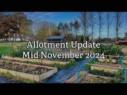 Allotment Update Mid November 2024, Allotment Diary, Allotment Gardening