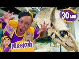 Meekah's Becomes a Dino Detective | BEST OF MEEKAH! | Learn Colors and Science with Blippi!