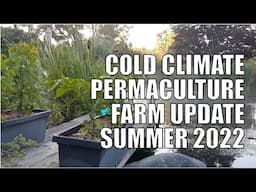 Farm Update - Arcadia Permaculture - Summer 2022