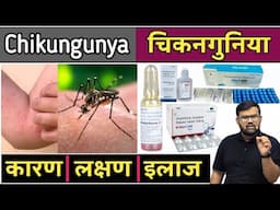 चिकनगुनिया - Chikungunya | Medicine | Treatment | Pharmacy | Doctor | Mbbs | Bhms | Bams | Bums