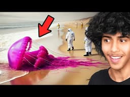 CRAZIEST Things Caught on Video!