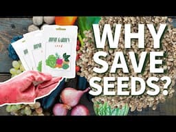 Why Save Seeds?