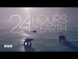 (Full Episode) 24 Hours on Earth | Episode 1: Day | BBC Select