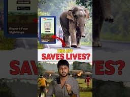 😧Elephant 🐘lives matters🤔 | Elephant attacks