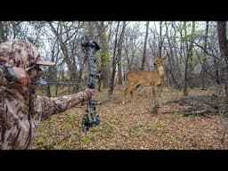 Backyard Deer Bow Hunting! (CATCH CLEAN COOK)