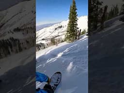 How far would you walk for these turns?  #snowboarding #snowboarding #backcountry #utah