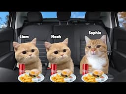 Cat Memes Field Trip Full