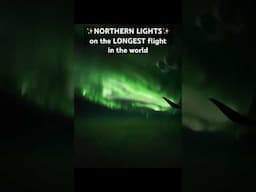 19 hour flight from NYC to Singapore had a surprise for us 😭#northernlights #auroraborealis #travel