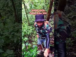 Jelajah hutan Taman Eden 100 #laketoba360 #danautoba #travel #tracking #toba #sumut