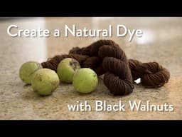 How to Naturally Dye with  Black Walnuts