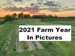 2021 Farm Year in Pictures