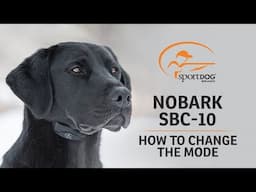 SportDOG Brand® NoBark SBC-10 :: How to Change the Mode