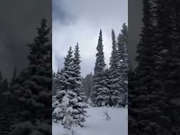 Snow blankets Big Cottonwood Canyon in Utah