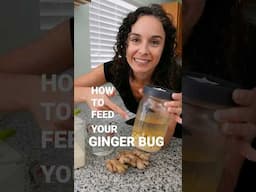 How to feed your Ginger Bug | Fermentation Adventure #shorts #fermentation