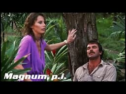 Shooter In The Distance | Magnum P.I.