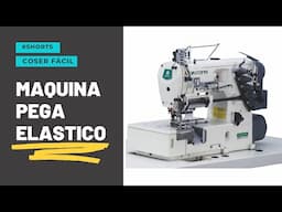 Maquina collareta tapa costura pega elástico | Coser Fácil #shorts