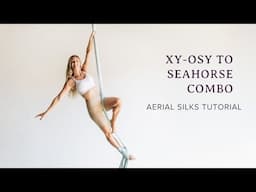 Improver Aerial Silks Sequence ✨