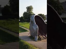 Cycle along the Gezicht van Nijmegen, a giant-sized interpretation of a Roman facemask. #cycling