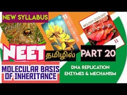 class 12 neet bio|molecular basis of inheritance class 12 tamil (part 20)| dna replication |  ncert