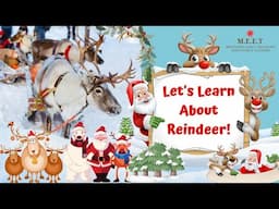 Let's Learn About Reindeer! Preschool video for kids - Theme time learning- Reindeer video for kids