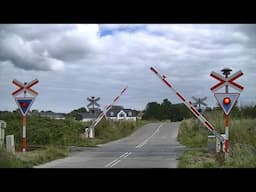 Spoorwegovergang Ringe (DK) // Railroad crossing // Jernbaneoverskæring