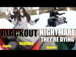 BLACKOUT - THE ANIMALS ARE DYING | Emergency Situation & Building Mystery Snow Animals