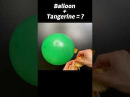 Why You Shouldn't Eat a Balloon Next To a Tangerine...